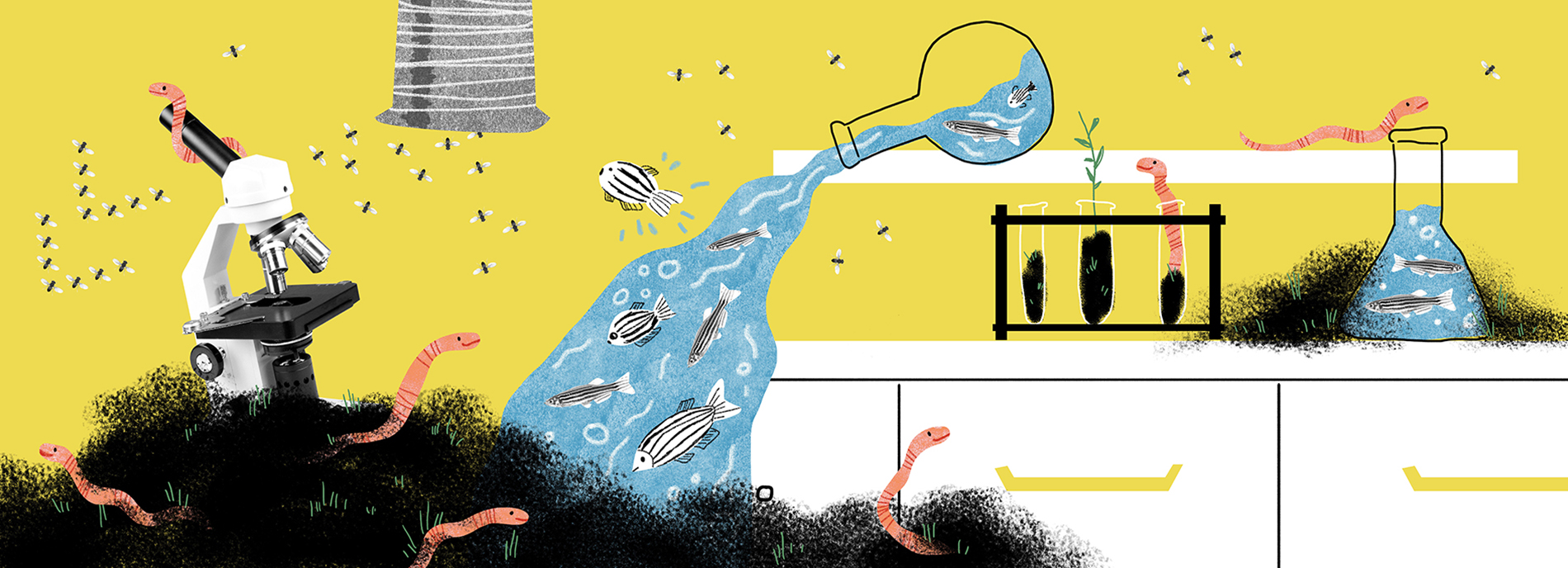 A lighthearted, colorful, chaotic lab scene with fruit flies flying in formation, worms peeking out of piles of dirt and zebrafish spilling out of beakers.