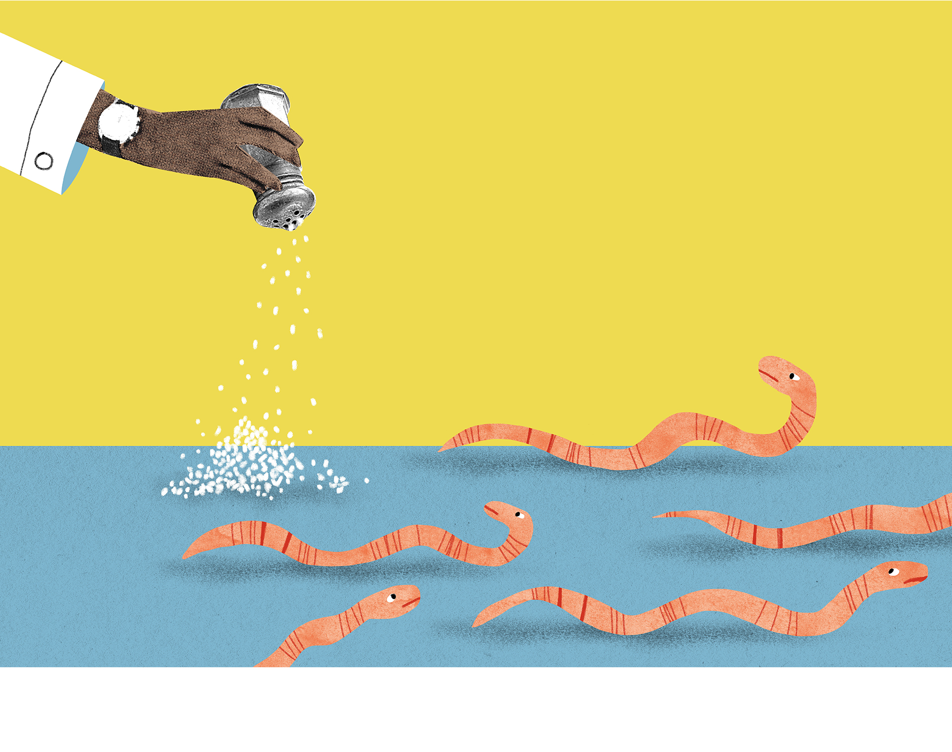 Playful yellow and blue illustration shows a scientist shaking salt in the direction of worms.