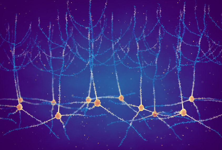 Illustration of pyramidal neurons against a deep blue background.
