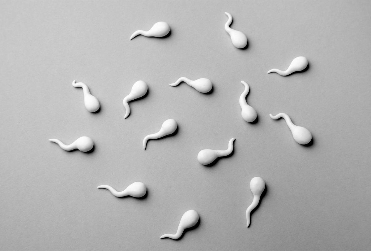 Illustration of a group of white sperm cells on a gray background.