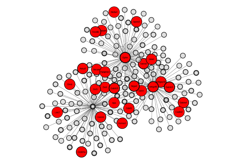 Control panel: The constellation of proteins at neuronal junctions that dampen brain activity include many associated with autism (red circles). 