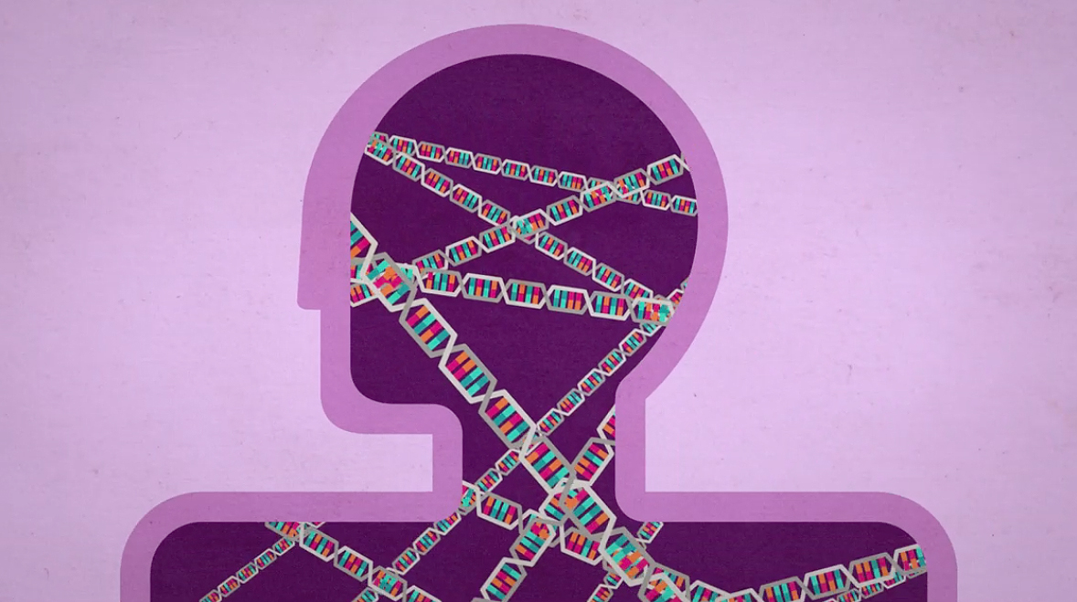 DNA inside of human form