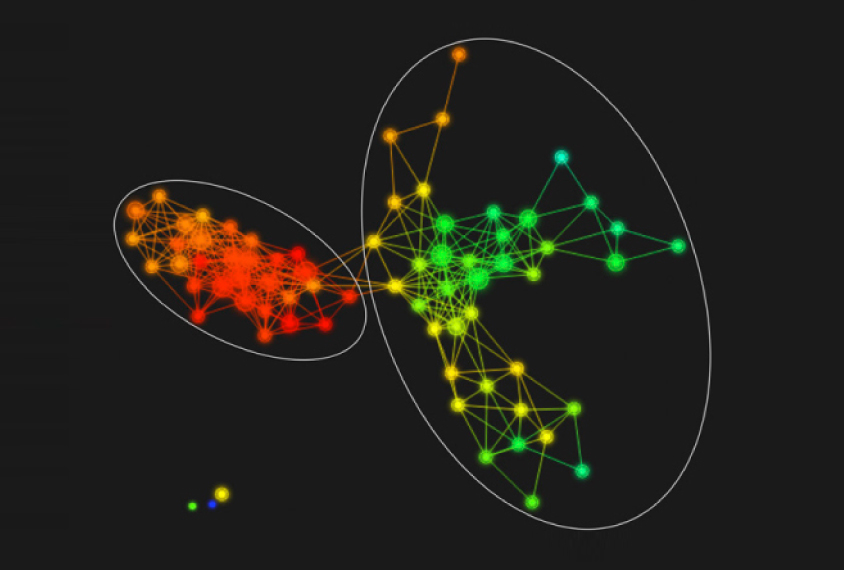 Brain scans of boys with fragile X syndrome fall into distinct groupings.