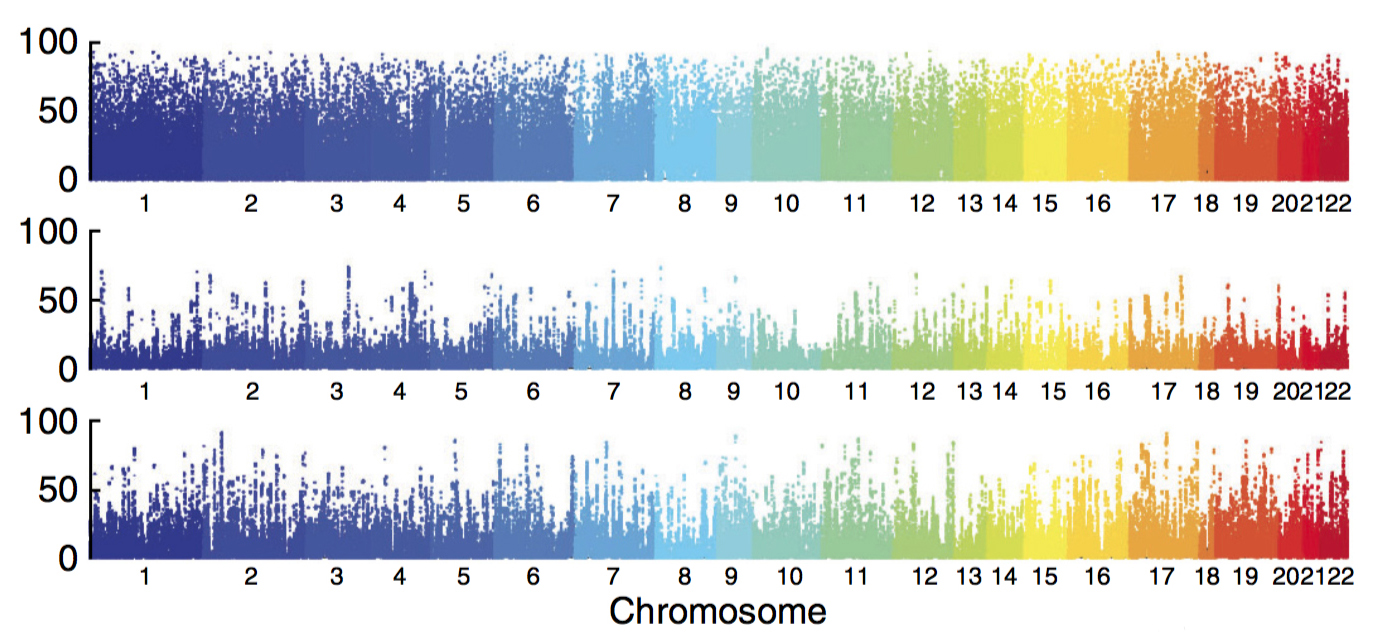 A new resource charts the locations of two types of chemical modifications to chromosomes (top, middle) and gene expression changes (bottom) in brain tissue.