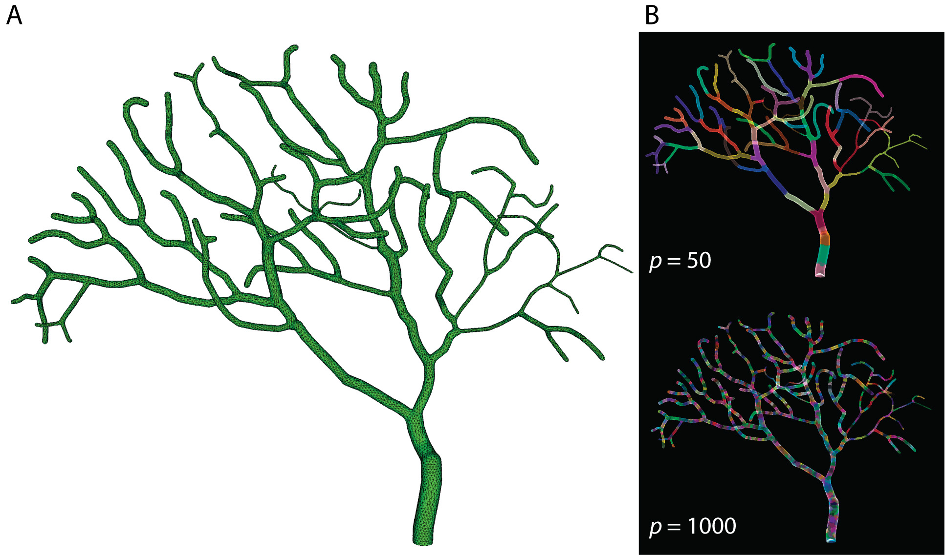 he program simulates the elaborate branches of Purkinje cells. Courtesy of OIST