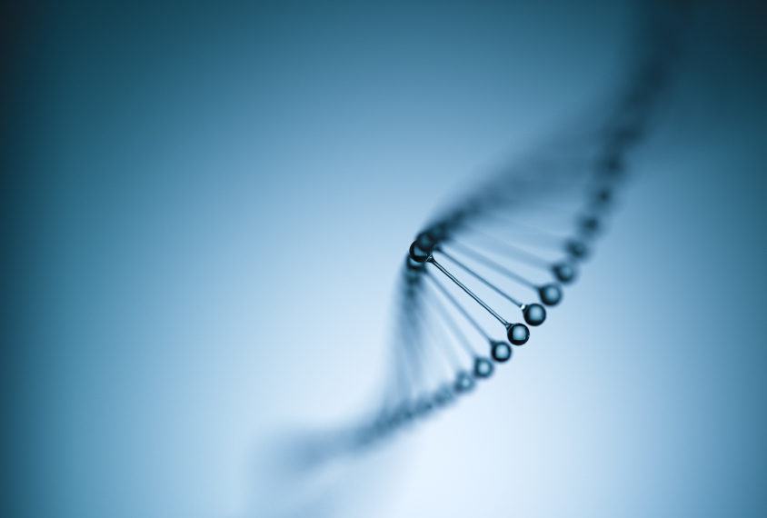 dna strand