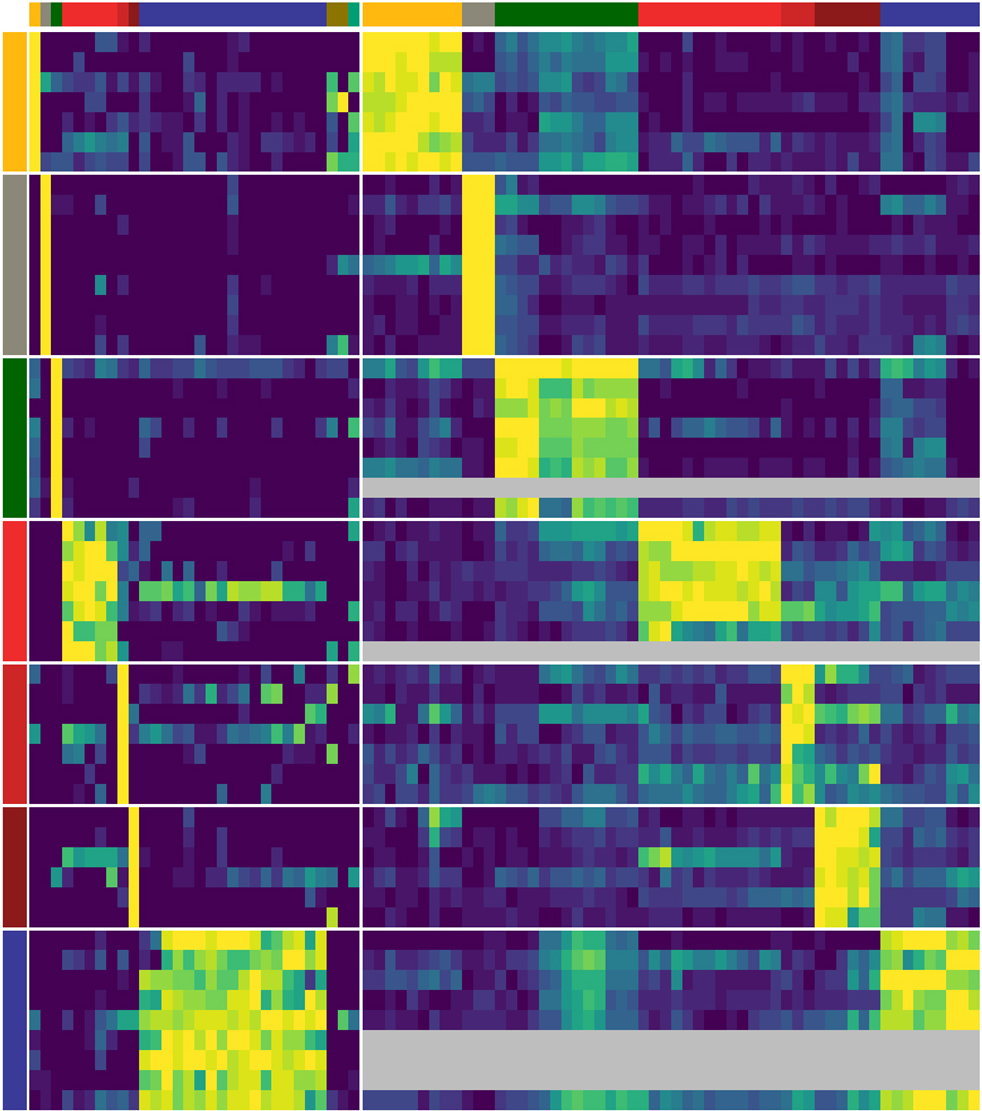 marker genes in cells