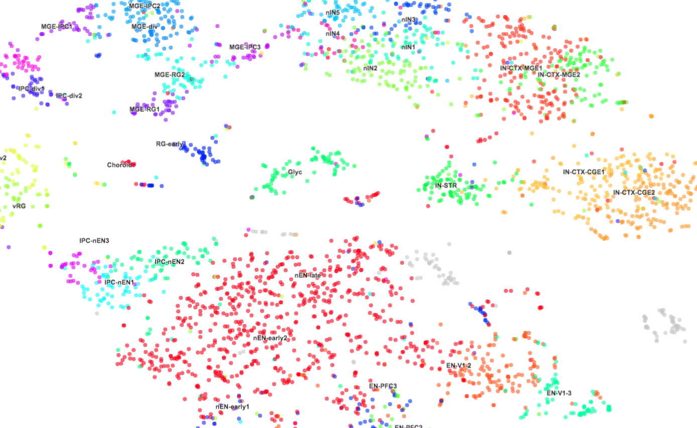 More than 4,000 types of brain cells show distinct gene expression patterns.