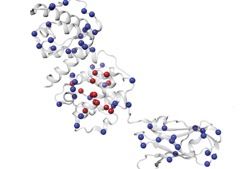 scientific illustration of protein mutations