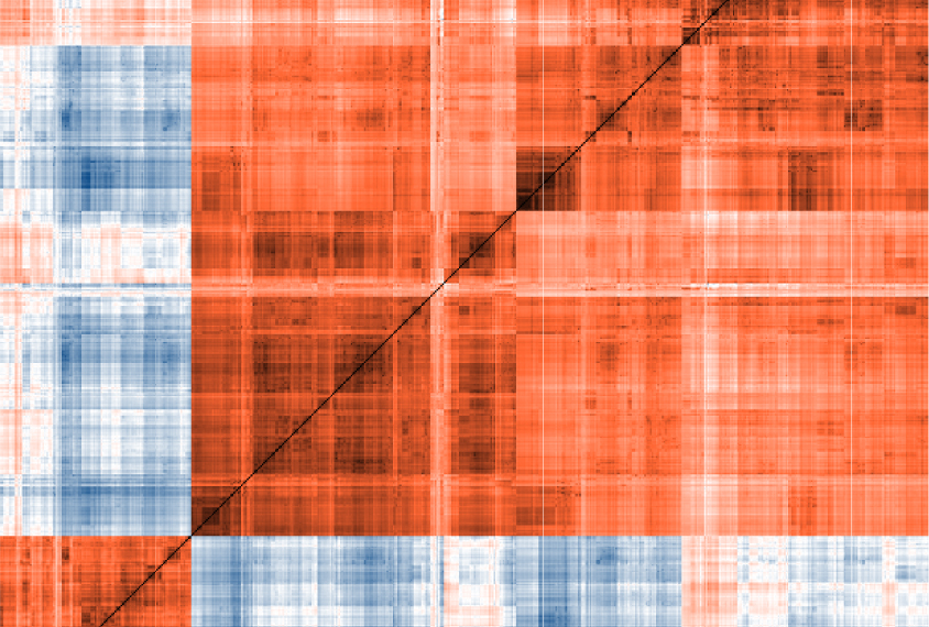 A red and blue pattern of genes.