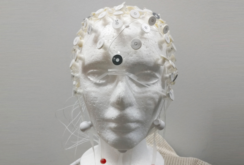 electrode cap on a styrofoam head model.