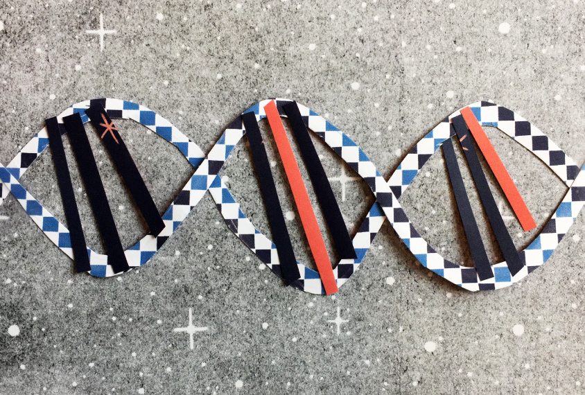 A collage of a DNA helix with two of the bars showing a different color. by Rebecca Horne