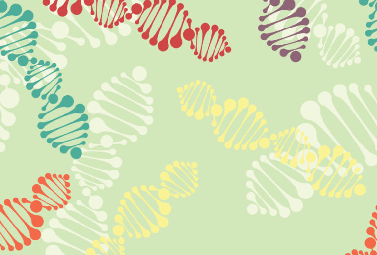 Modifier genes may enhance or diminish the effects of a mutation linked to autism.