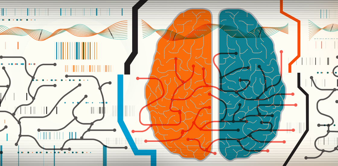 Illustration of human brain in brackets suggesting circuit alterations that is associated with certain genetic mutations.