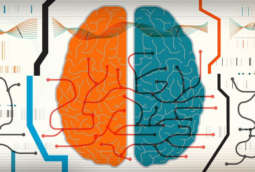 Illustration of human brain in brackets suggesting circuit alterations that is associated with certain genetic mutations.