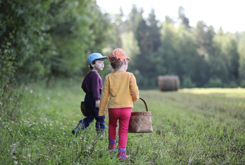 Two children picking mushrooms in a field.