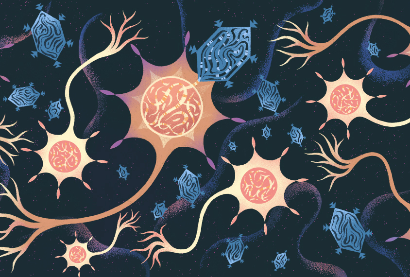 An illustration shows a mosaic-like view of viruses delivering genes to the brain.