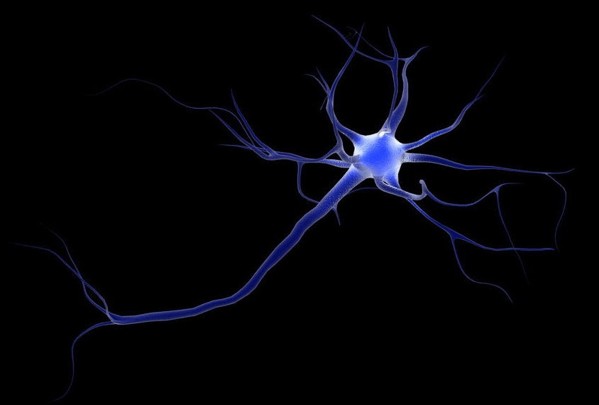 A 3D rendering shows a neuron firing on black.