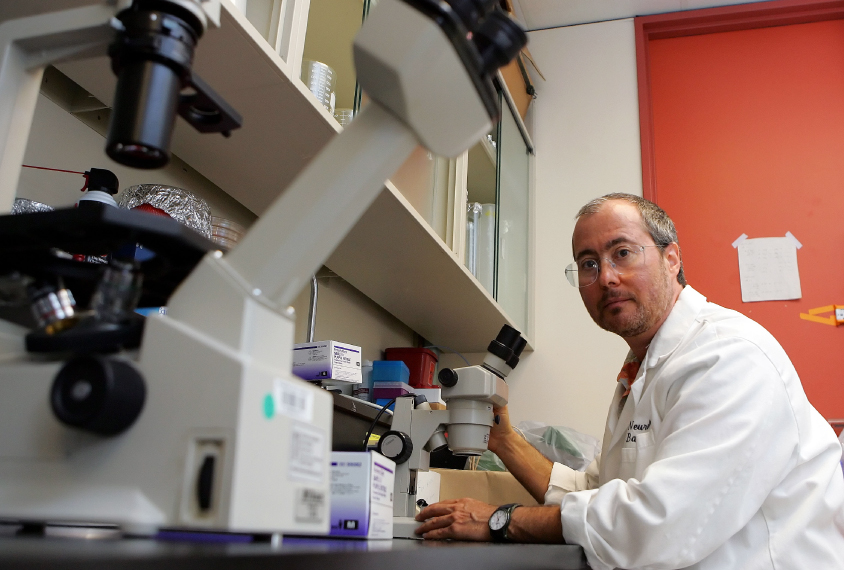 Ben Barres, a neurobiologist at Stanford University's Medical Center, poses for a portrait in his lab in the university's campus in Stanford, Calif., Tuesday, July 11, 2006.