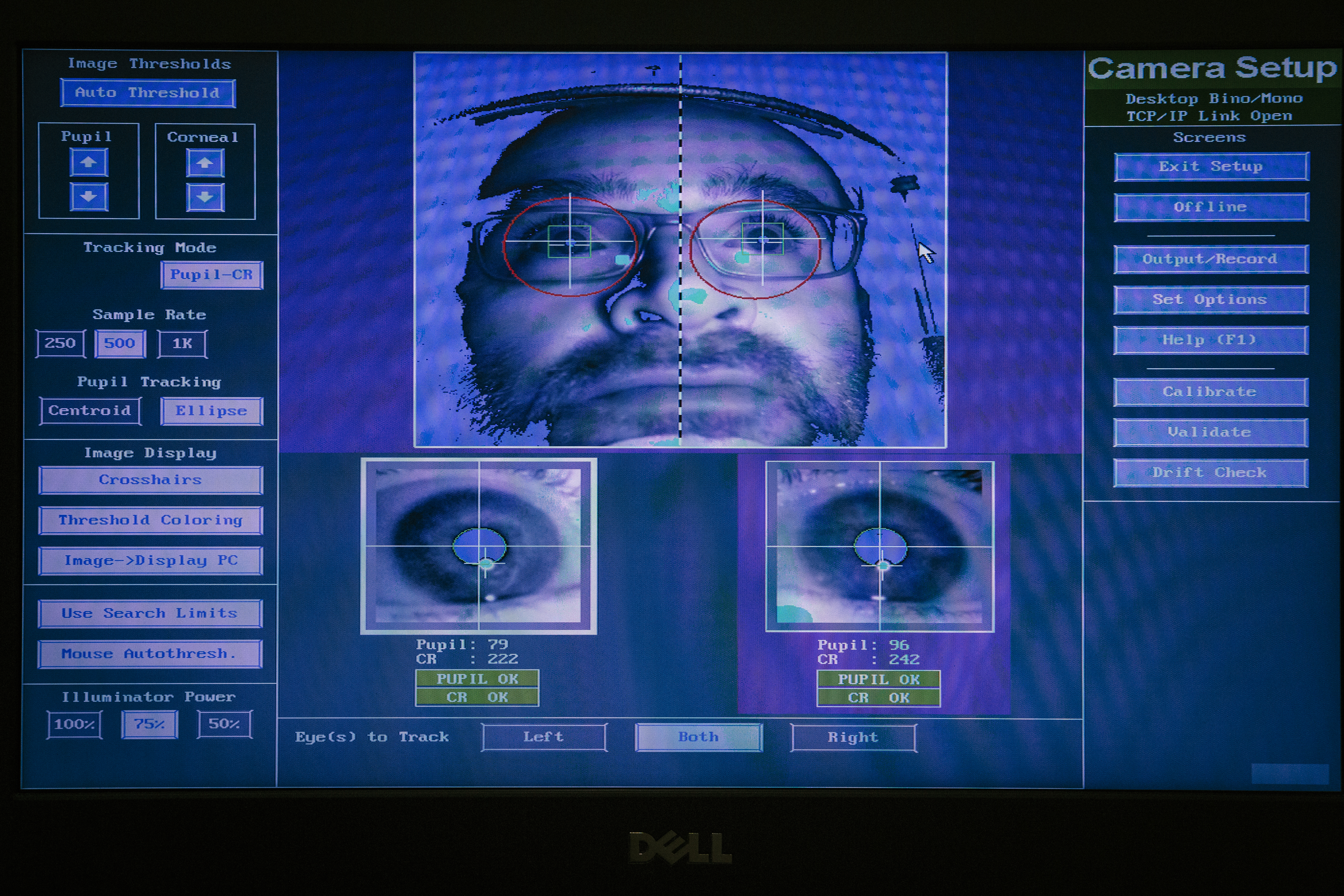 Image shows a screenshot of eye tracking analysis data.