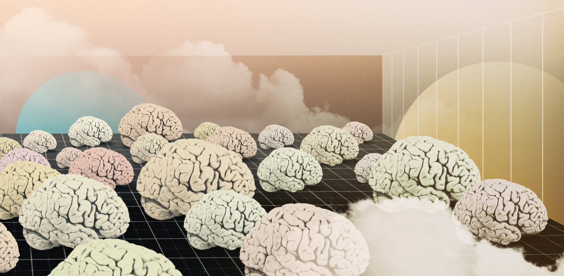 Human brains of various colors and sizes