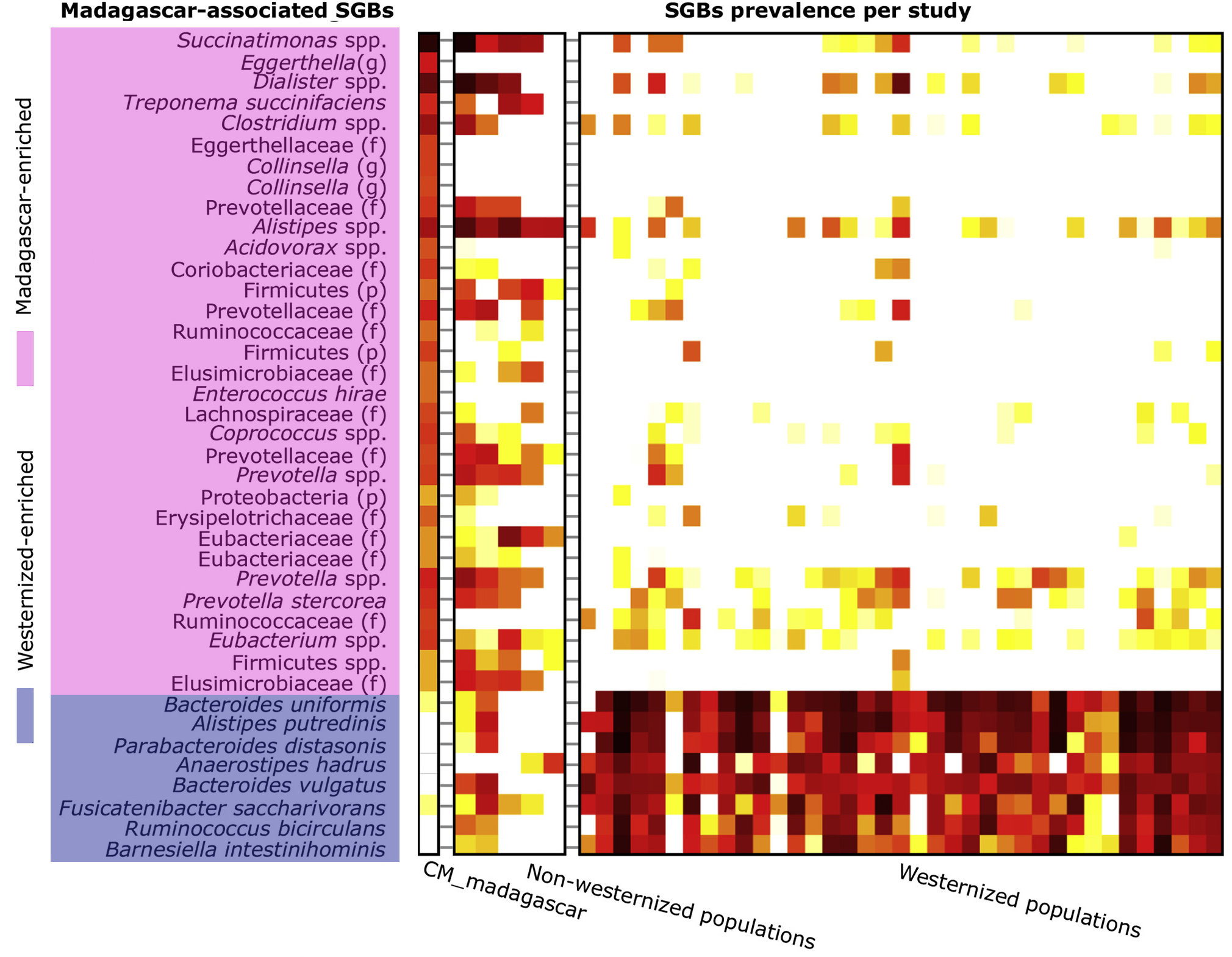 Graph shows microbial species