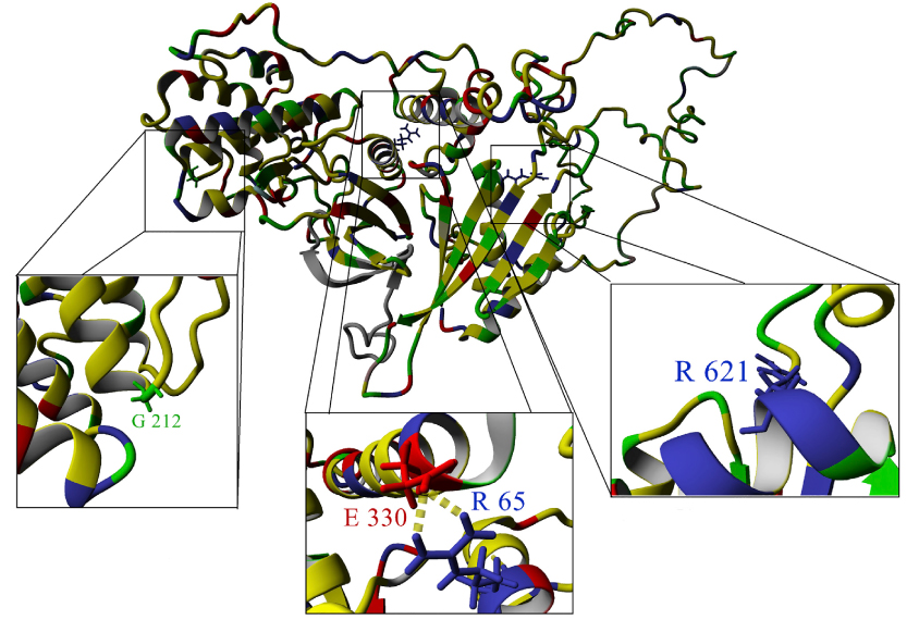 Computational Modeling of BRSK2 Missense Variants