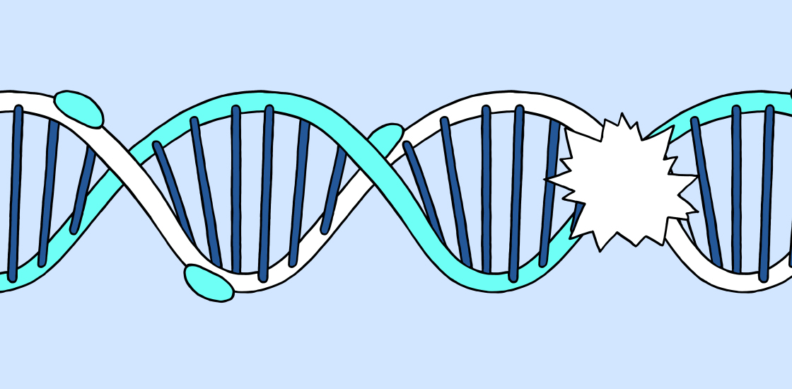 A DNA helix showing common and rare variants