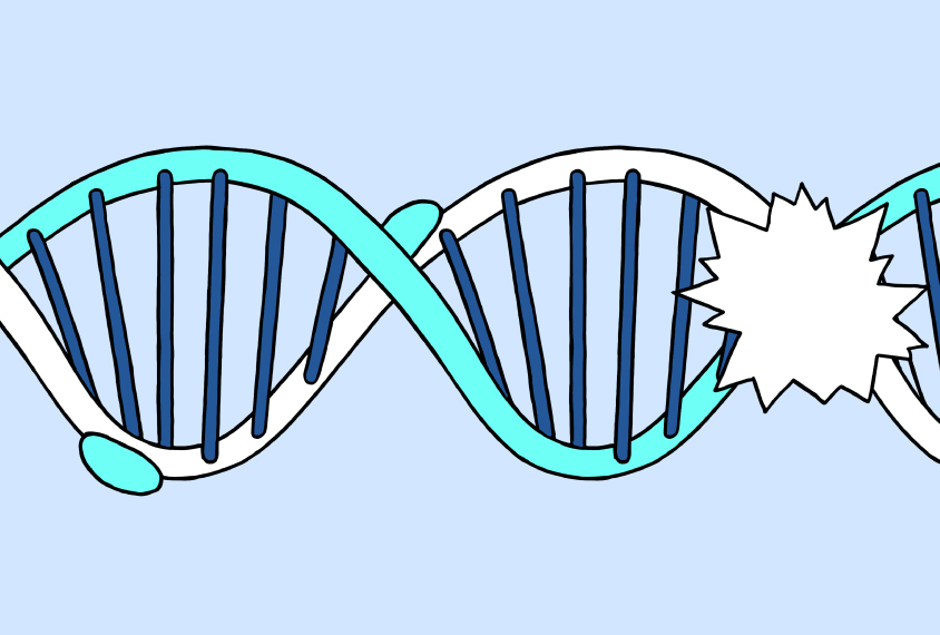 A DNA helix showing common and rare variants