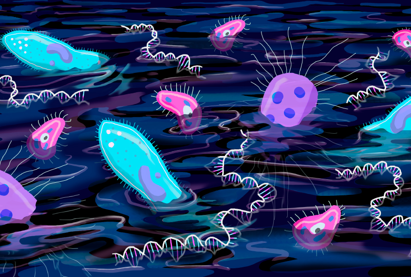 primordial soup of ancient genes and single celled organisms