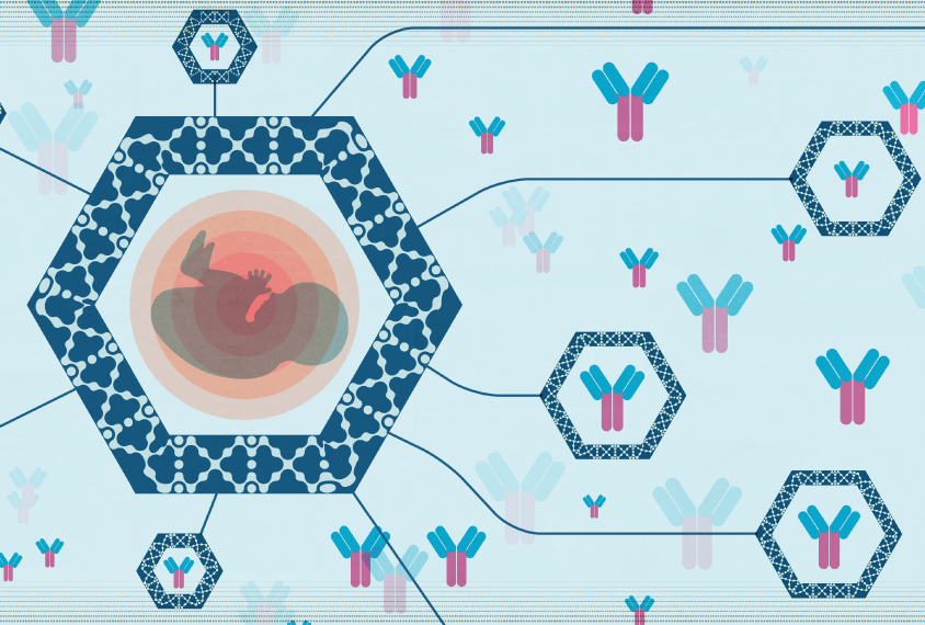 fetus surrounded by genes and nanoparticles and clusters