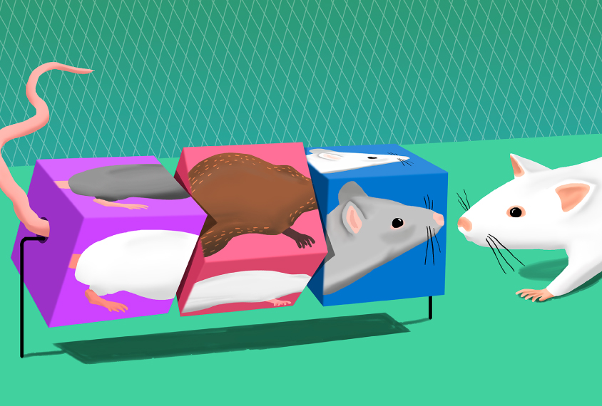 Mouse shows friendliness to all mice, friends or strangers