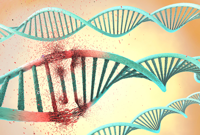 Strand of DNA with bases being deleted