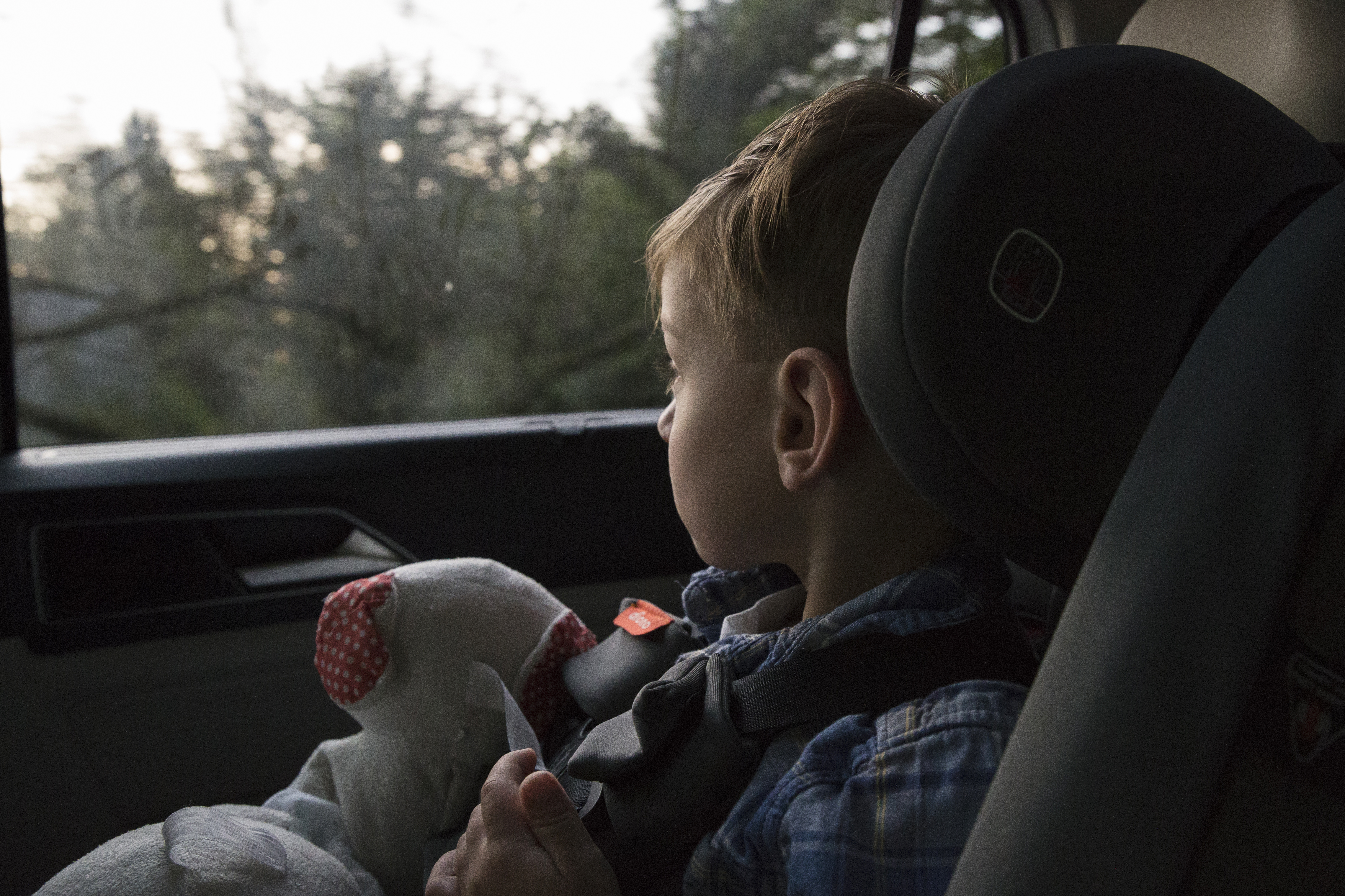 Photo: Owen is sitting in a car seat, looking out the car window. There are trees in his view. On his lap he holds a stuffed animal.