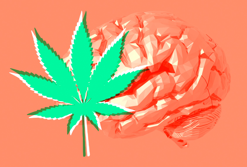 human brain and marijuana leaf