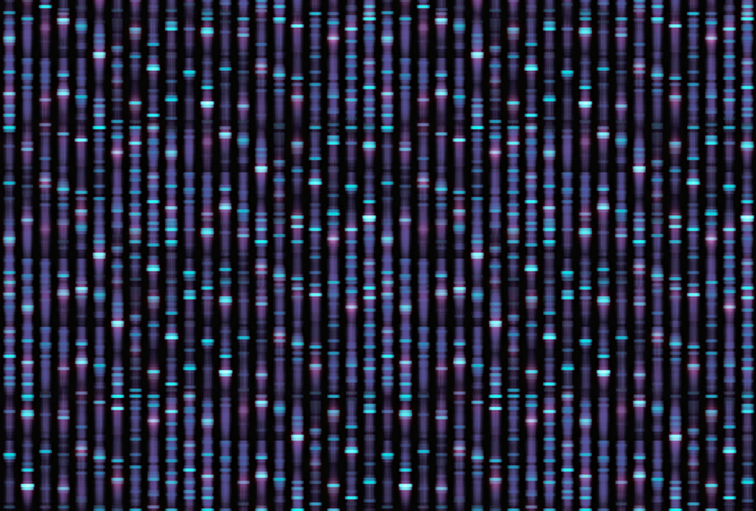 Large genome sequence in blues and purple