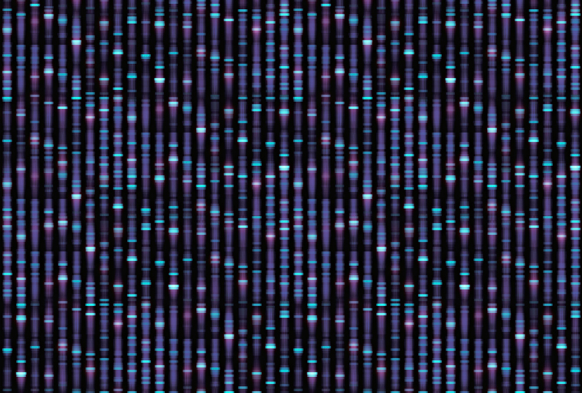 Large genome sequence in blues and purple