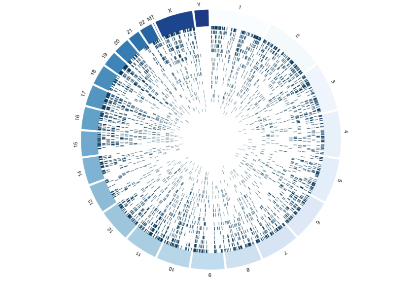 variants across the genome are shown in a wheel shaped visualization