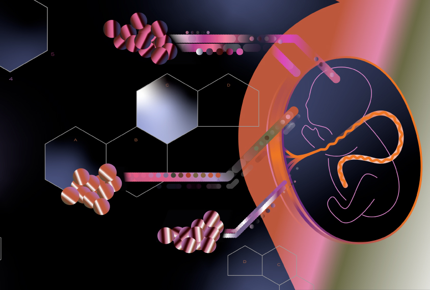 Illustration shows fetus with molecules interacting inside the mother's belly