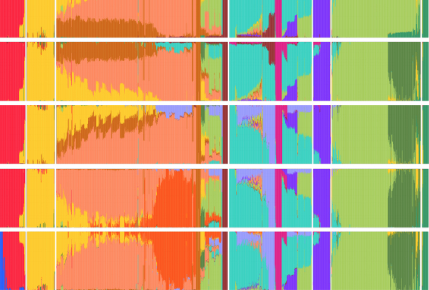 People from Asia have high genetic diversity due to historical mixing with many ethnic groups, represented here by different colors. Each horizontal strip includes one more geographical region than the strip above it.