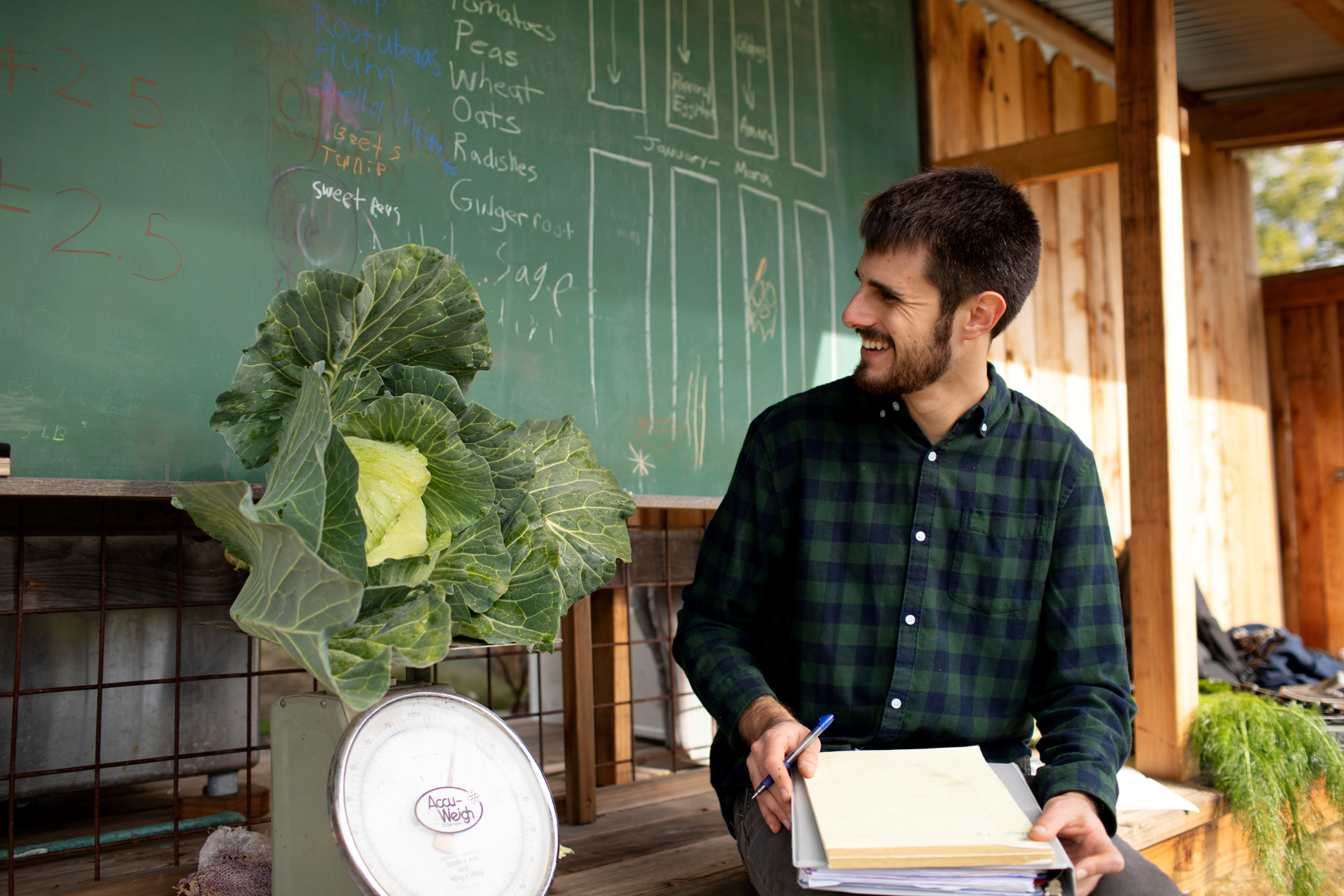 A white man working at a farmer's market weighs a head of lettuce.