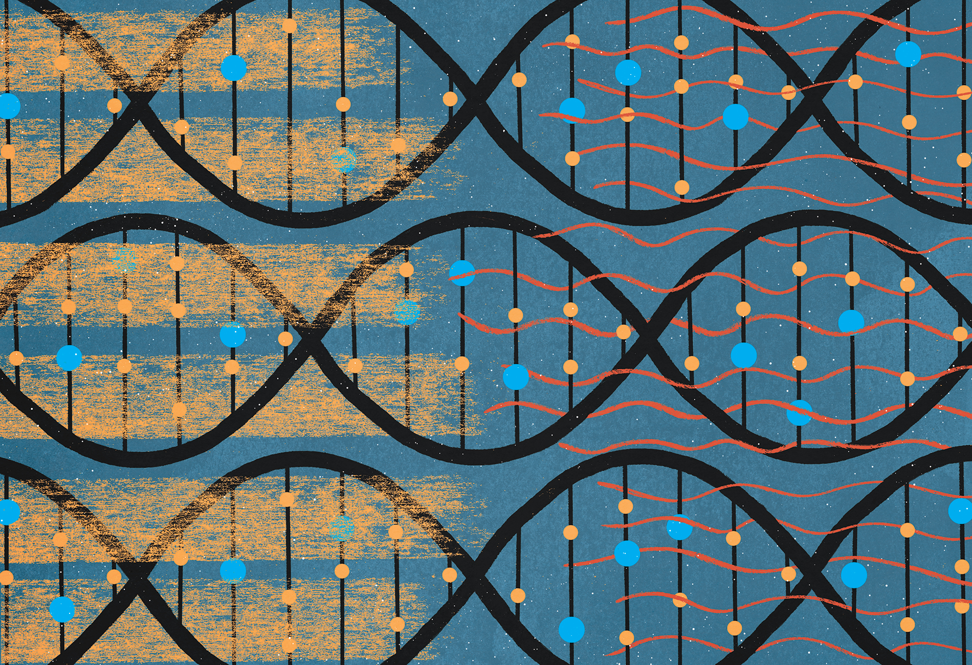 illustration shows DNA strands underneath overlapping textures, signifying blurred lines