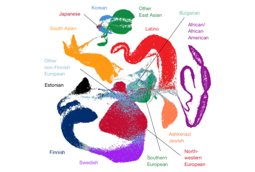 A genome data set shows colorful clusters by ancestry