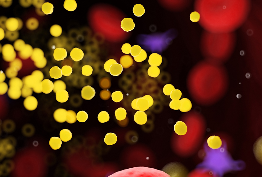 Fat in bloodstream visualized as yellow balls, floating near blood cells, macro view.