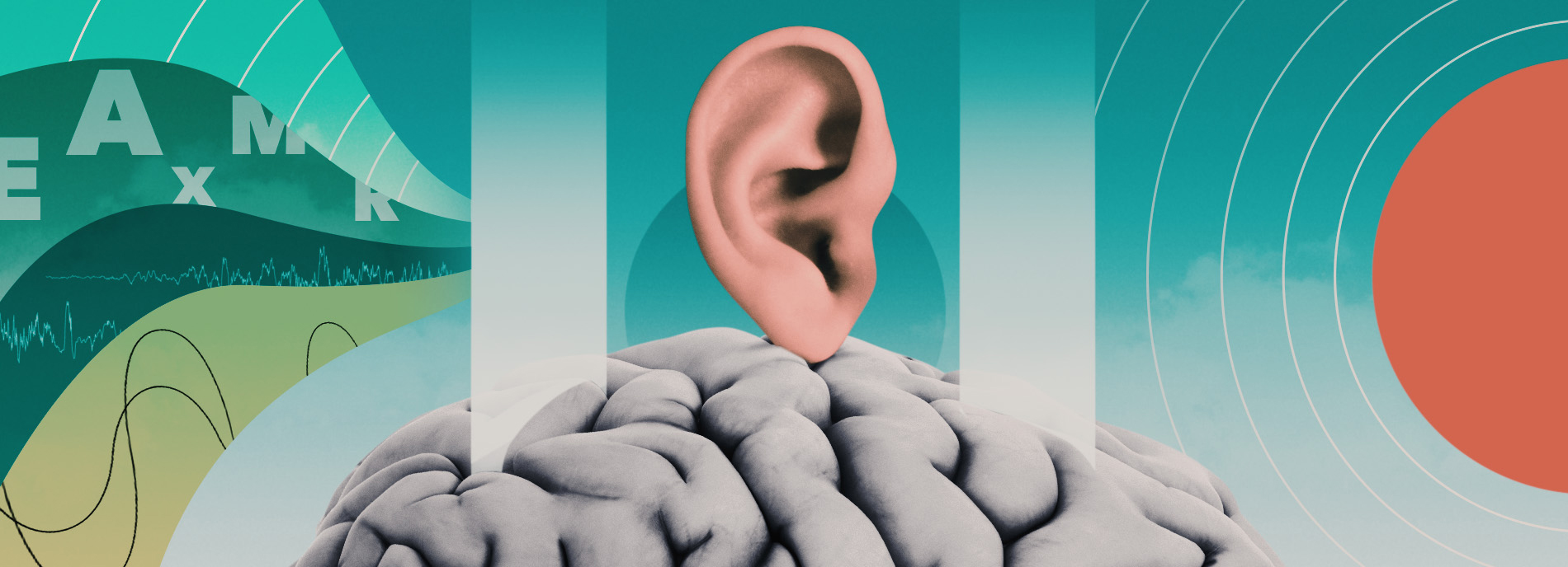 Illustration shows an ear balancing on a brain, surrounded by barriers blocking sound waves coming towards it.
