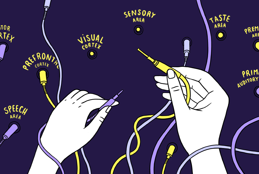 Illustration showing two hands plugging cables into different areas of the brain, eg. prefrontal cortex, motor cortex, etc.