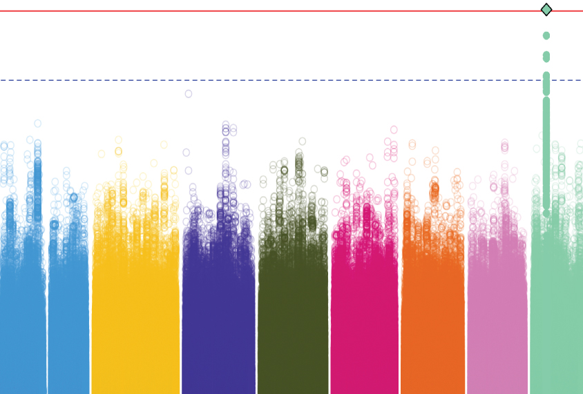 Colorful chart showing variants in chromosomes.