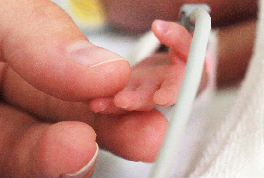 Close-up of adult hand holding preemie baby hand.