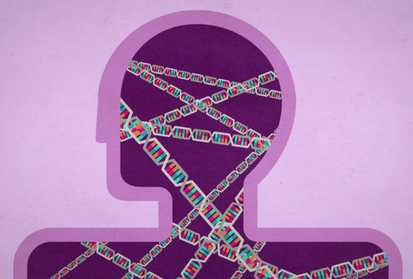 DNA helix inside the human body