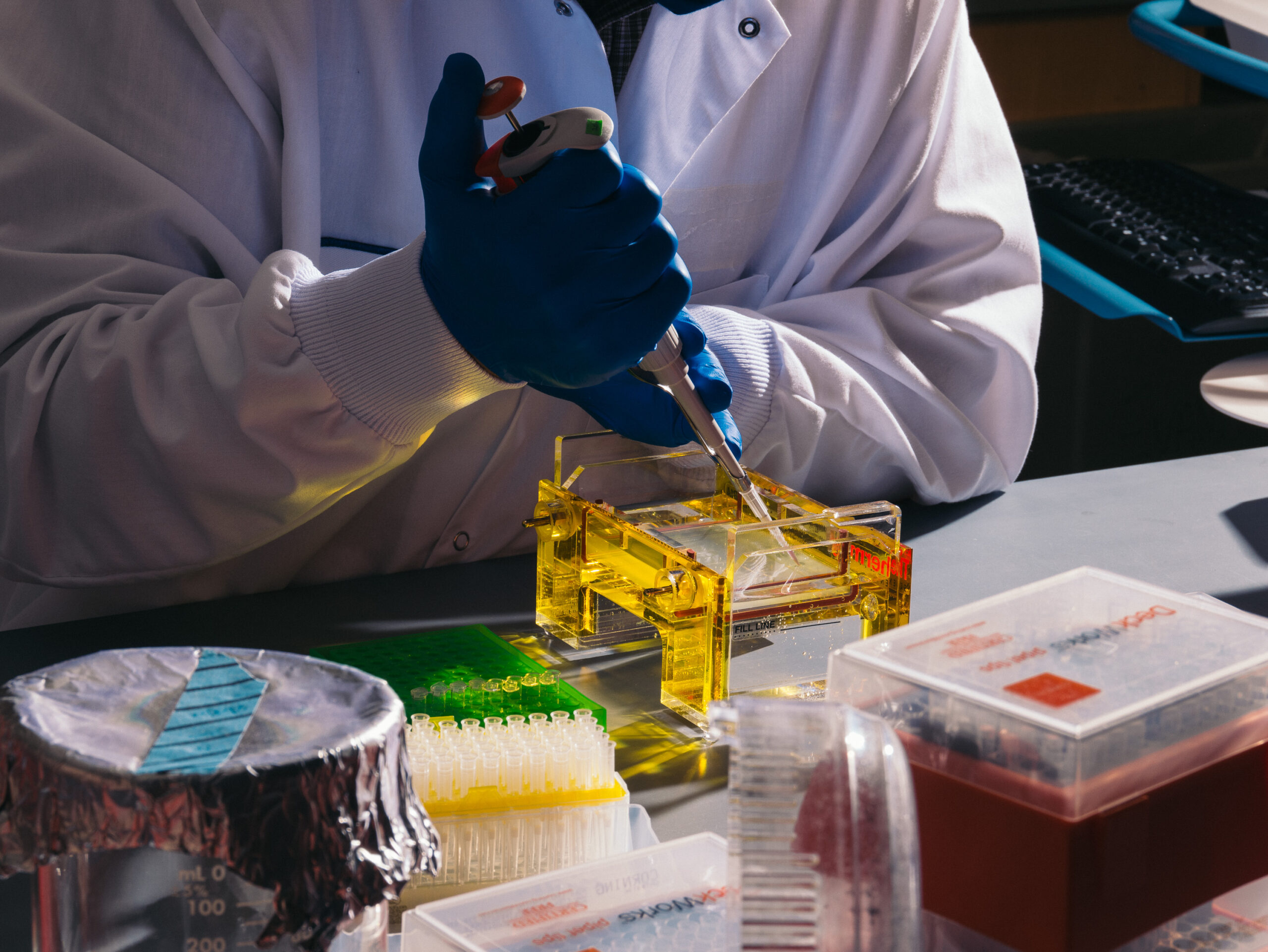 Lab work at the Translational Research Labs at University of Pennsylvania